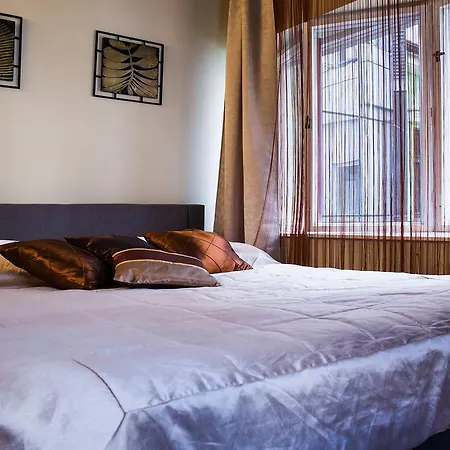 Dum U Pikove Desitky 4* Brno